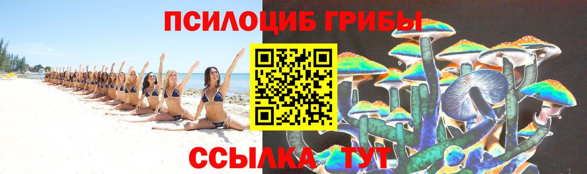 Псилоцибиновые грибы прущие грибы  Вход с VPN  Лабинск 
